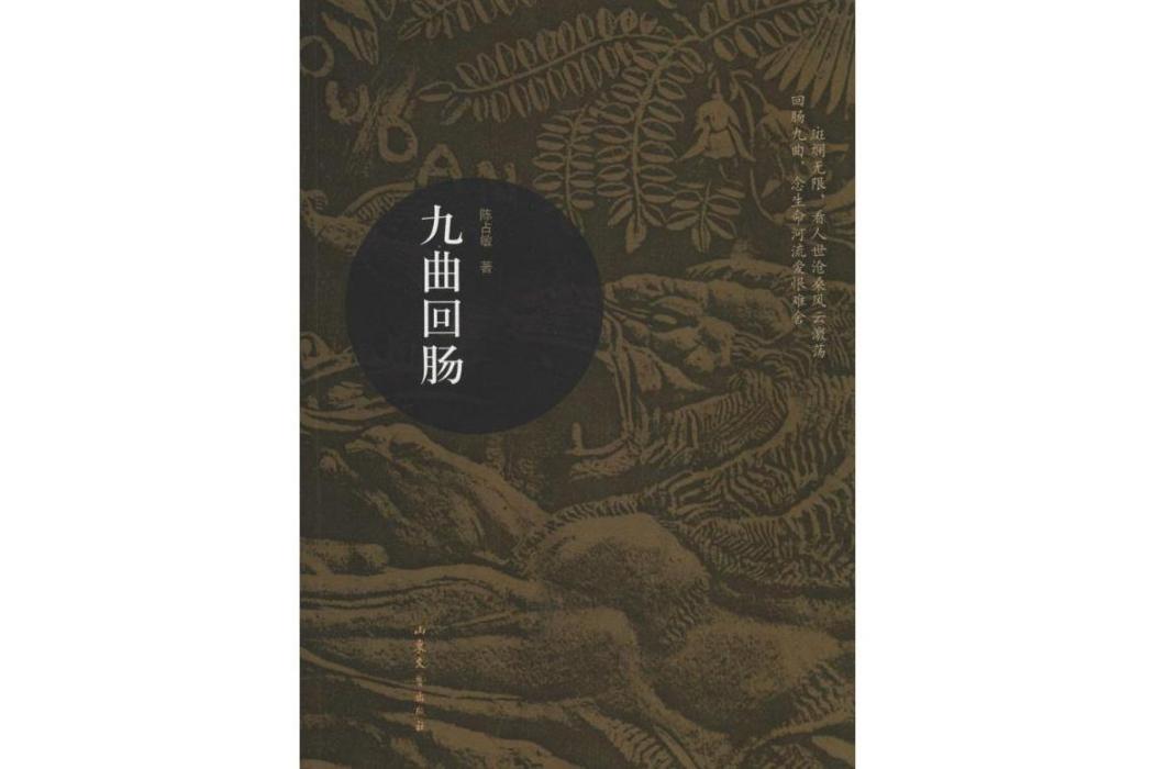 九曲迴腸(2014年山東文藝出版社出版的圖書)