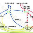亞硝酸鹽氮 亞硝酸鹽氮
