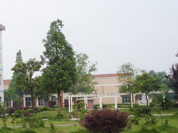 蒙泉鎮中心學校