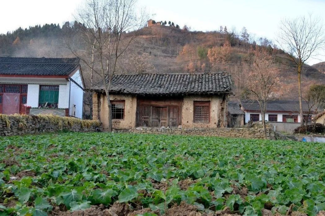 陳河村(陝西省西安市周至縣陳河鎮下轄村) 陳河村(陝西省西安市周至縣陳河鎮下轄村)