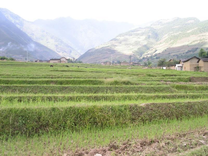 立雜村 立雜村