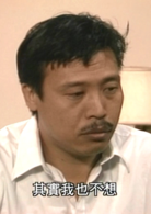 新紮師兄續集(新紮師兄（1985年梁朝偉主演TVB電視劇）)
