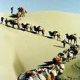 駱駝客(沙漠戈壁牽駱駝的人)