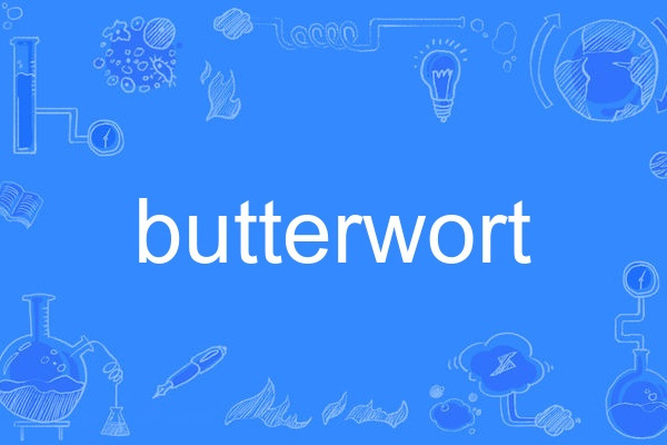 butterwort butterwort