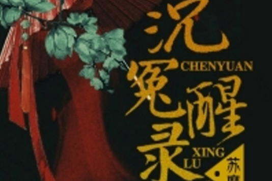沉冤醒錄 沉冤醒錄
