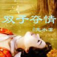 雙子奪情 雙子奪情