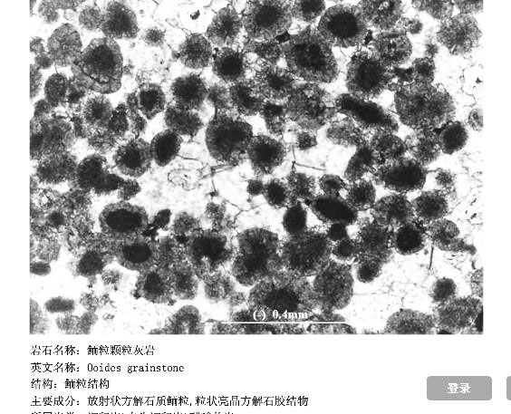 雨花石魚籽石