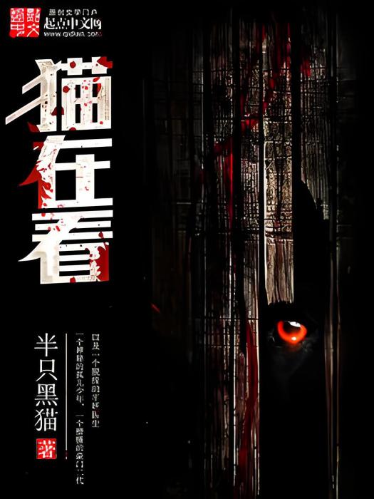 貓在看 貓在看