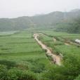 羊毛沖村(雲南省昆明市尋甸縣功山鎮下轄村) 羊毛沖村(雲南省昆明市尋甸縣功山鎮下轄村)