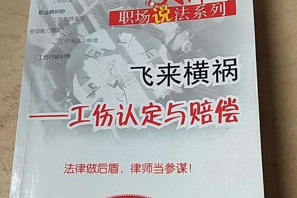 飛來橫禍(2008年中國法制出版社出版的圖書) 飛來橫禍(2008年中國法制出版社出版的圖書)