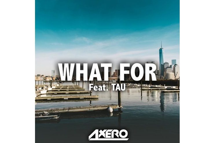 What For(歌曲) What For(歌曲)