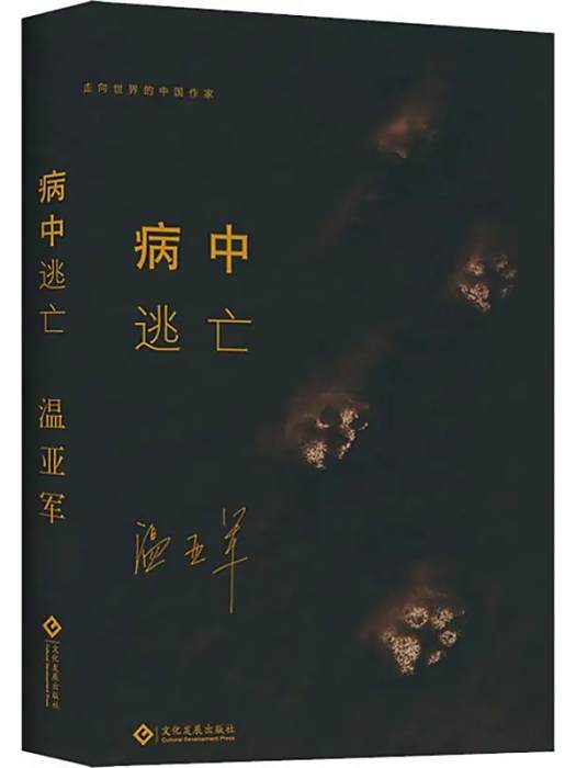 病中逃亡(2019年印刷工業出版社出版的圖書) 病中逃亡(2019年印刷工業出版社出版的圖書)