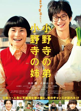 向井理 向井理