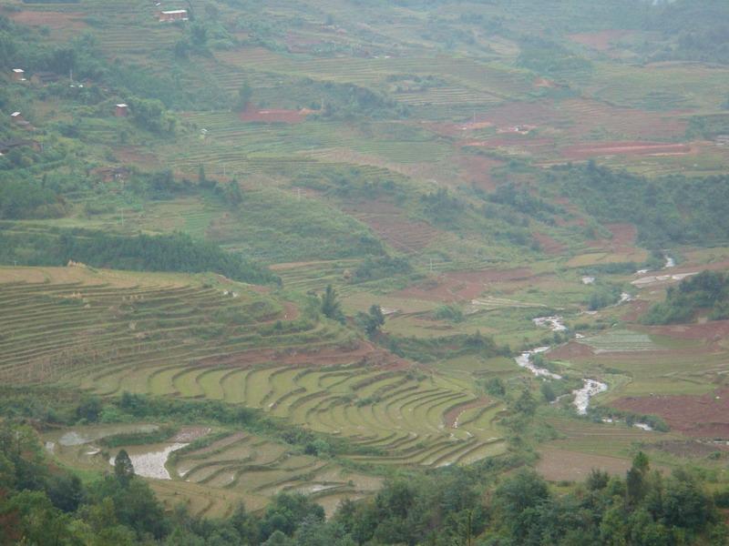 蘭慶村 蘭慶村