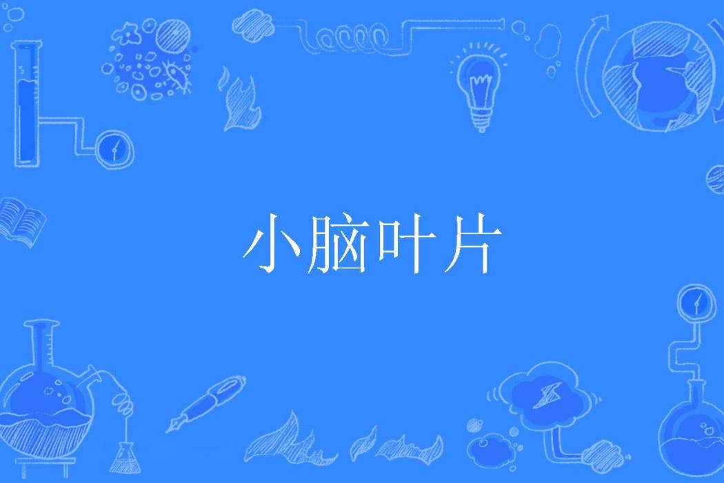 小腦葉片 小腦葉片