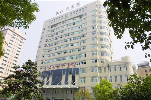 武漢市第六醫院 武漢市第六醫院