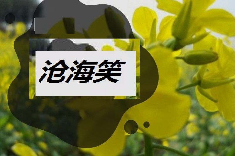 滄海笑(2021年焦立松演唱的歌曲) 滄海笑(2021年焦立松演唱的歌曲)