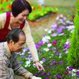 栽花 栽花