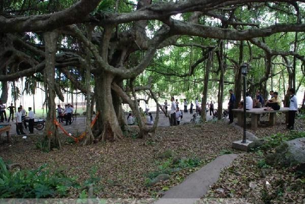 後嶺村(海南省定安縣後嶺村) 後嶺村(海南省定安縣後嶺村)