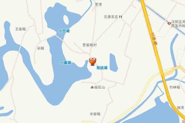 羅家咀村 羅家咀村
