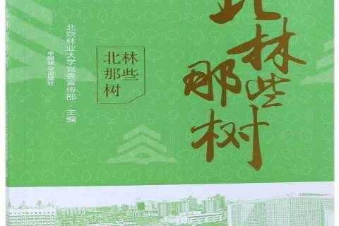 北林那些樹 北林那些樹