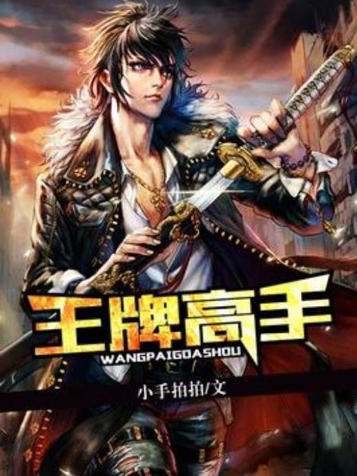 王牌高手(小手拍拍所著小說) 王牌高手(小手拍拍所著小說)