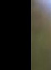 羅君左 羅君左