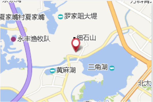 辛家嘴 辛家嘴