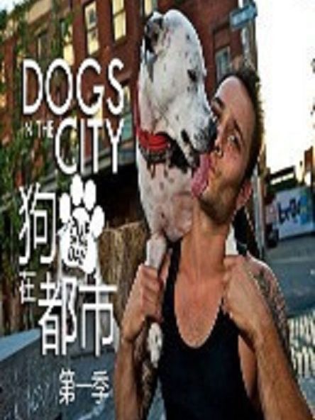 狗在都市 狗在都市