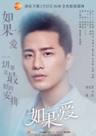 如果，愛(2017年張哲書執導電視劇)