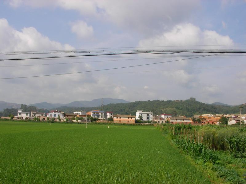 九天觀村 九天觀村