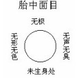 胎中面目 胎中面目