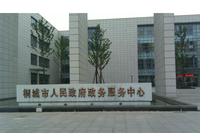 桐城市人民政府政務服務中心