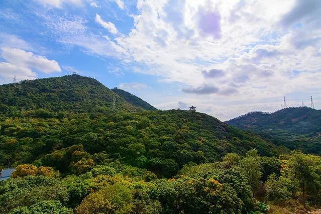 東大旺山 東大旺山