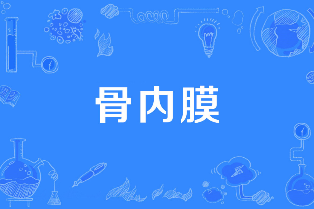 骨內膜 骨內膜