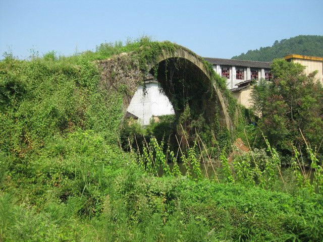 巨口村(福建省南平市武夷山市星村鎮巨口村) 巨口村(福建省南平市武夷山市星村鎮巨口村)