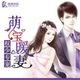 萌寶暖妻 萌寶暖妻