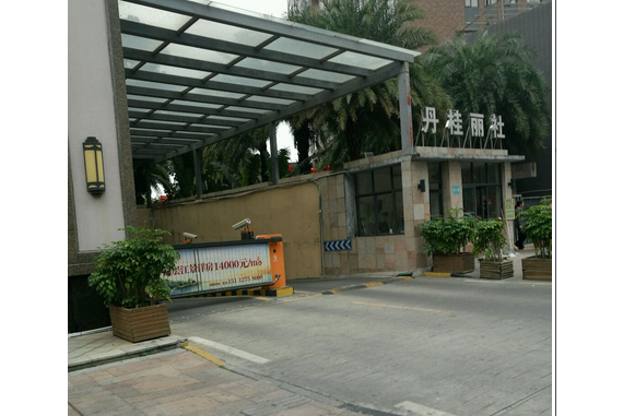 丹桂麗社
