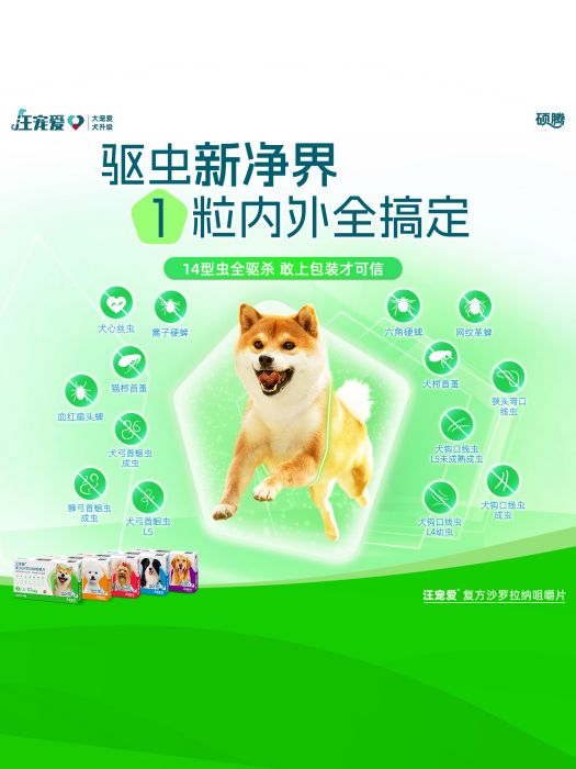 汪寵愛 汪寵愛