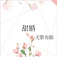 甜婚(無影有蹤所著小說) 甜婚(無影有蹤所著小說)