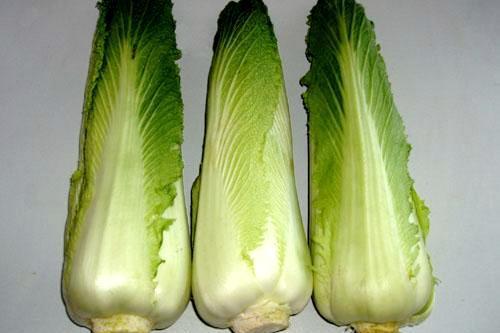 包尖白菜 包尖白菜