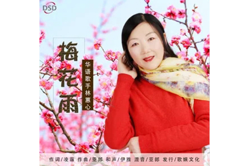 梅花雨(單曲) 梅花雨(單曲)