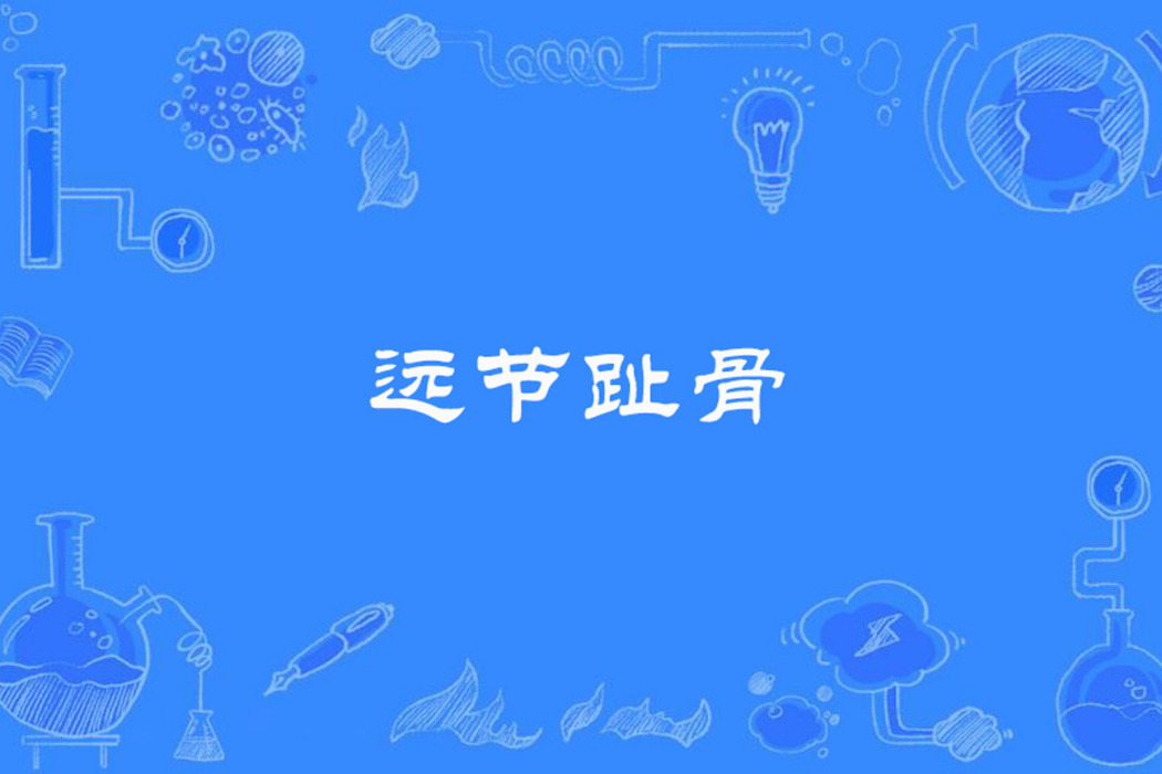遠節趾骨 遠節趾骨