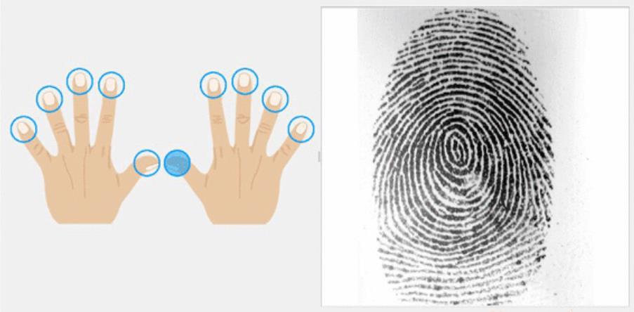 圖像處理與模式識別套用於指紋識別