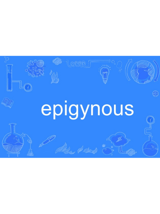 epigynous epigynous
