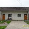 大新村(安徽省銅陵市樅陽縣湯溝鎮下轄村) 大新村(安徽省銅陵市樅陽縣湯溝鎮下轄村)