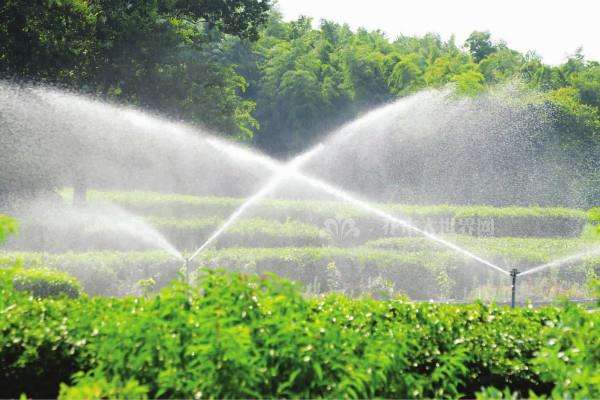 灌溉效率