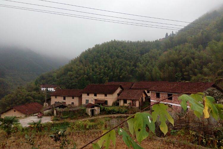 土嶺頭村(山西省陽泉市平定縣張莊鎮下轄村) 土嶺頭村(山西省陽泉市平定縣張莊鎮下轄村)