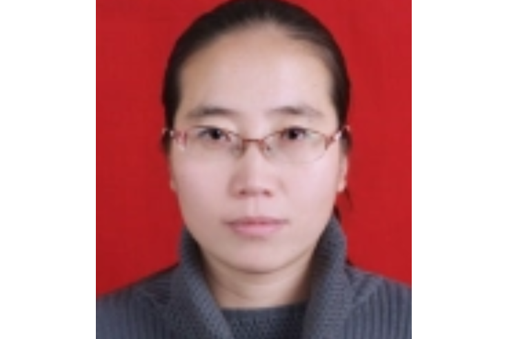 陳海霞(西安石油大學副教授) 陳海霞(西安石油大學副教授)