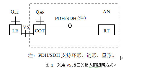 圖1  採用V5接口的接入網組網方式